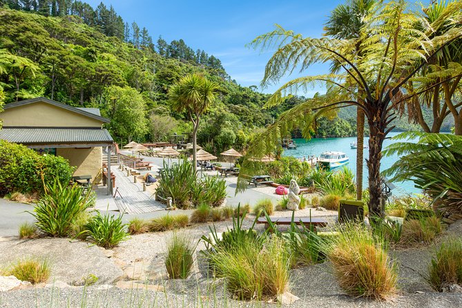 Marlborough Sounds Day Visit to Lochmara - Key highlights to clock before you go