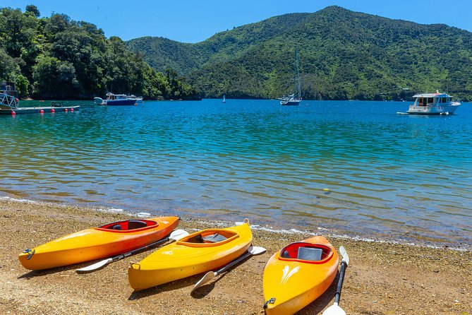 Marlborough Sounds Day Visit to Lochmara - The afternoon educational walk: pigs, goats, native eels, and kākāriki