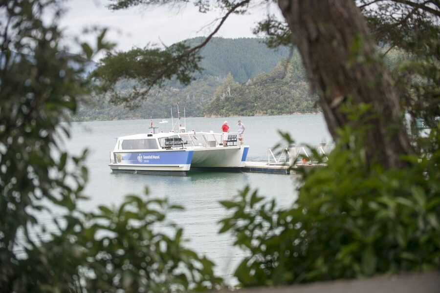 Marlborough Sounds: Greenshell Mussel Cruise - Wines, Snacks, and Views: Making the Bar Part of the Day