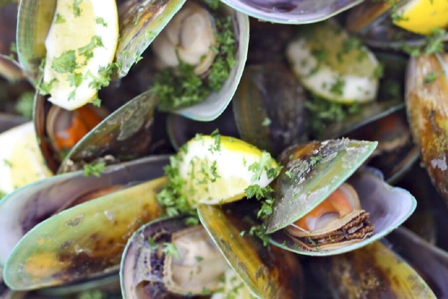 Marlborough Sounds: Greenshell Mussel Cruise - Price and Value: What $107 Buys in Marlborough Sounds
