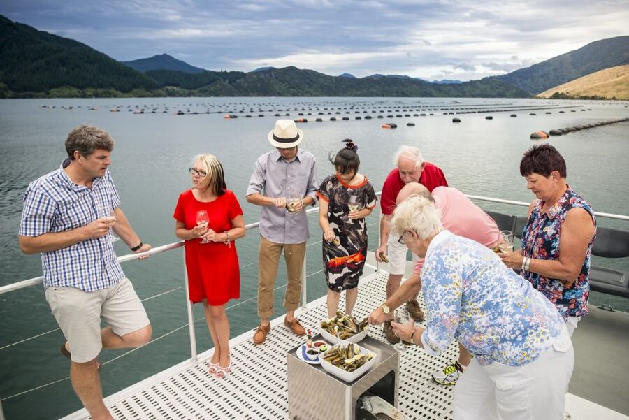 Marlborough Sounds: Greenshell Mussel Cruise - Simple Booking and On-the-Day Tips (That Actually Matter)