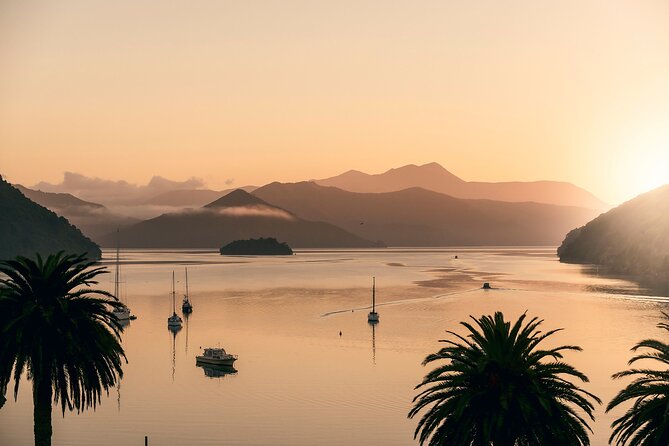 Marlborough Sounds Greenshell Mussel Tasting Cruise - How Mussel Farming Becomes Real: Passing a Local Farm