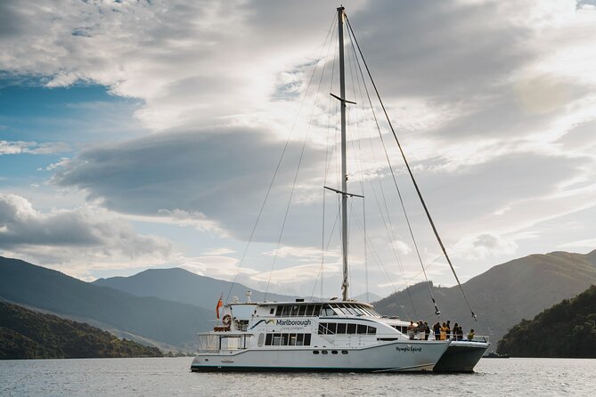 Marlborough Sounds Greenshell Mussel Tasting Cruise - Itinerary in Plain English, Stop by Stop