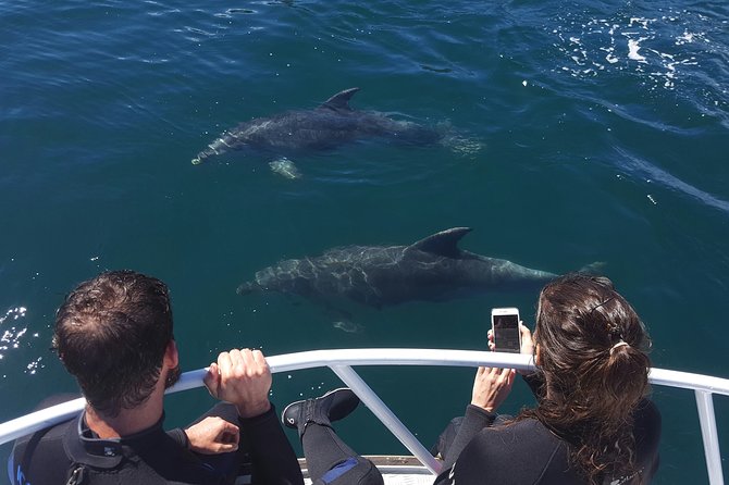 Marlborough Sounds Ultimate Cruise - Quick take