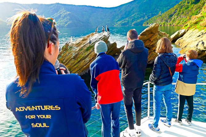 Marlborough Sounds Ultimate Cruise - Marlborough Sounds from Picton: a half-day wildlife mission