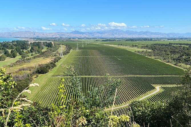 Marlborough Wine Region Tour from the Port of Picton - Stop One: Makana Confections for Quick, Generous Chocolate Tastings