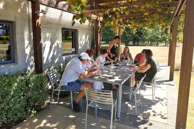 Marlborough Wine Tour - Afternoon Sippers of Wine Only 4hrs - Quick take: what makes this afternoon wine tour work