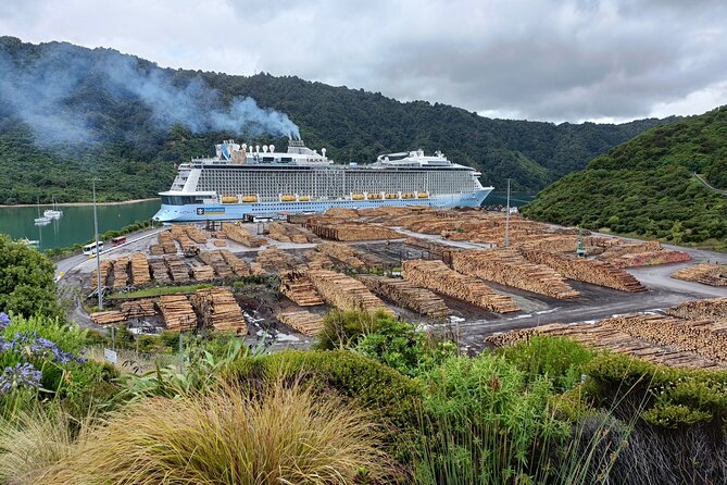 Marlborough Wine Tour - Picton Cruise Ship Shore Excursion Tour - Small-Group Comfort, Adult Rules, and Van Reality