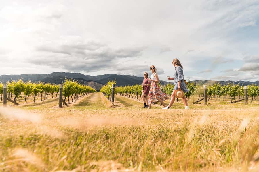 Marlborough: Wineries Visit and Tasting Session - Marlborough Tour Takeaways You Will Actually Use