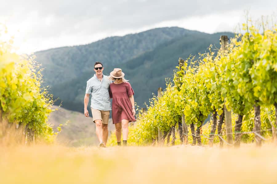 Marlborough: Wineries Visit and Tasting Session - Timing That Keeps the Day Relaxed: 12.15pm Meet, 13.00 First Tasting, 16.30 Return