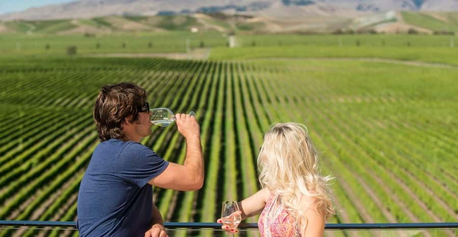 Marlborough: Wineries Visit and Tasting Session - The Premium Van Ride: Comfort, Flow, and Room for Questions