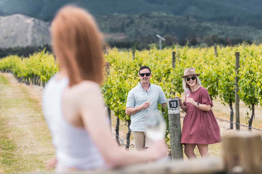 Marlborough: Wineries Visit with Tastings and 2-Course Lunch - Blenheim pickup and van ride: the day starts easy