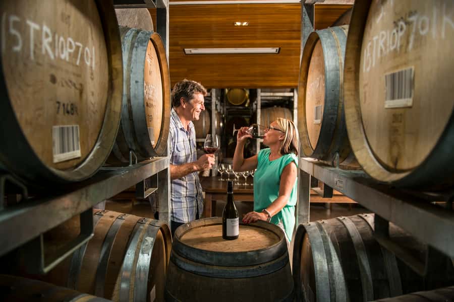 Marlborough: Wineries Visit with Tastings and 2-Course Lunch - Wine-making lessons from the winery team, not just a tasting flight