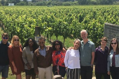Martinborough Foodie Half Day Tour from Wellington