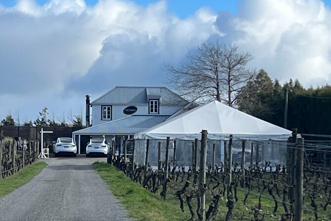 Martinborough Private Food and Wine Tour in Tesla SUV - Key highlights you’ll feel right away