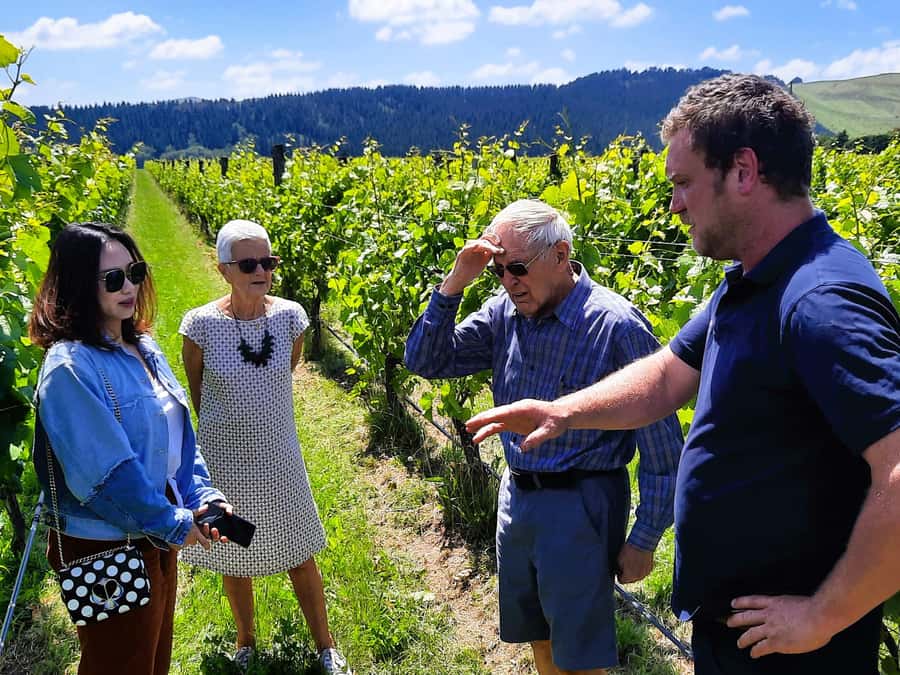 Martinborough Wine and Food Tour with Lunch from Wellington - Featherston cheese factory stop: your first serious flavor lesson