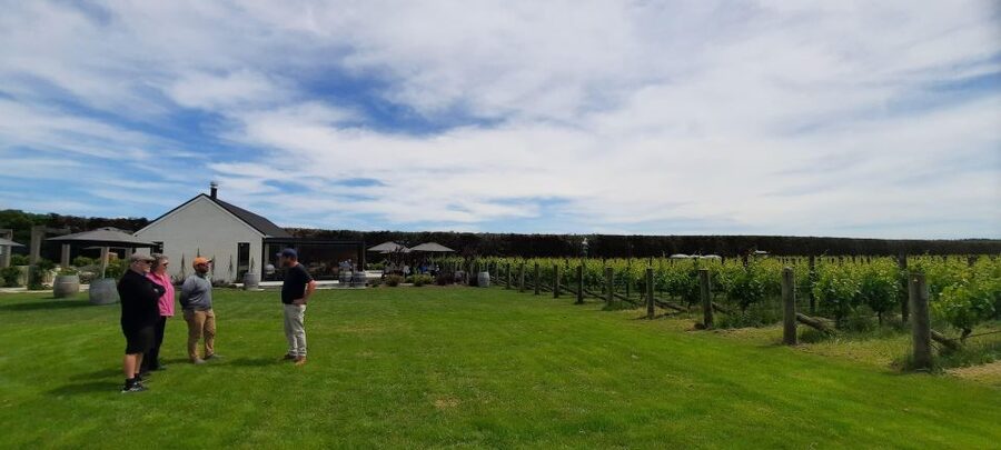 Martinborough Wine and Food Tour with Lunch from Wellington - Old vineyards and a lunch with countryside views