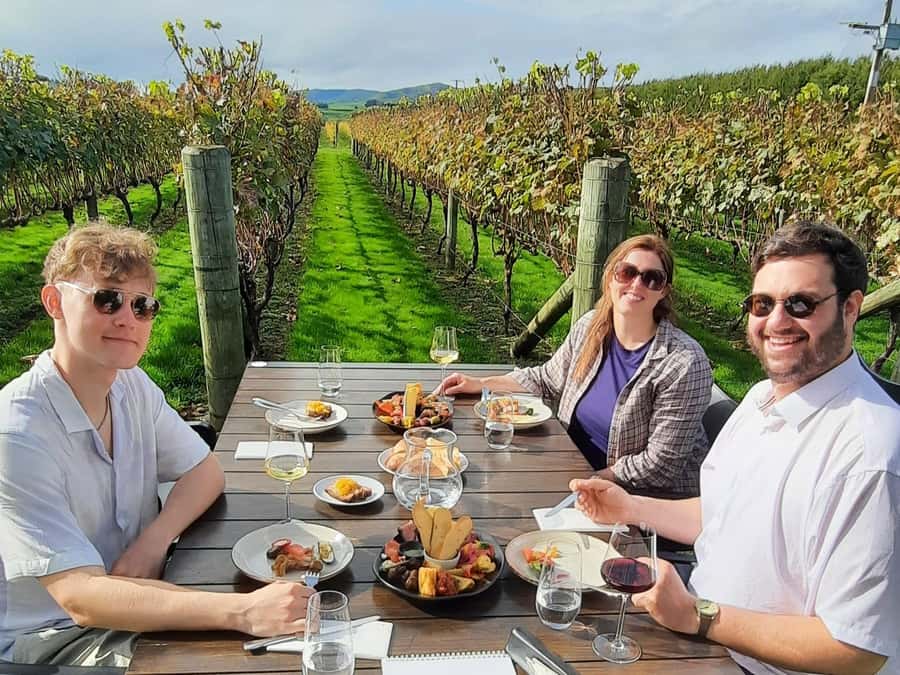 Martinborough Wine and Food Tour with Lunch from Wellington - Blue Earth Estate olive grove time and learning olive oil like a pro
