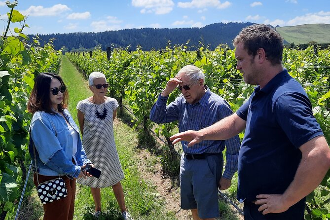 Martinborough Winery and Foodie Day Tour with vineyard lunch - Why the Martinborough foodie route works from Wellington