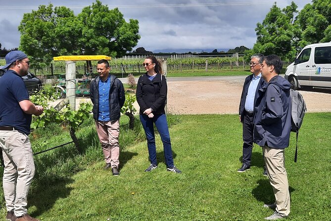 Martinborough Winery and Foodie Day Tour with vineyard lunch - Price and value: what $197.34 buys you (and why it feels fair)