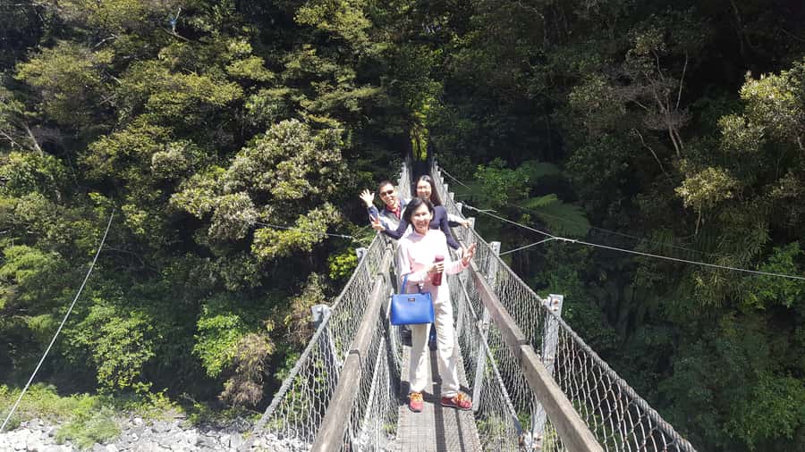 Martinborough Winery and South Wairarapa Wild Coast Tour - Key things I’d plan for