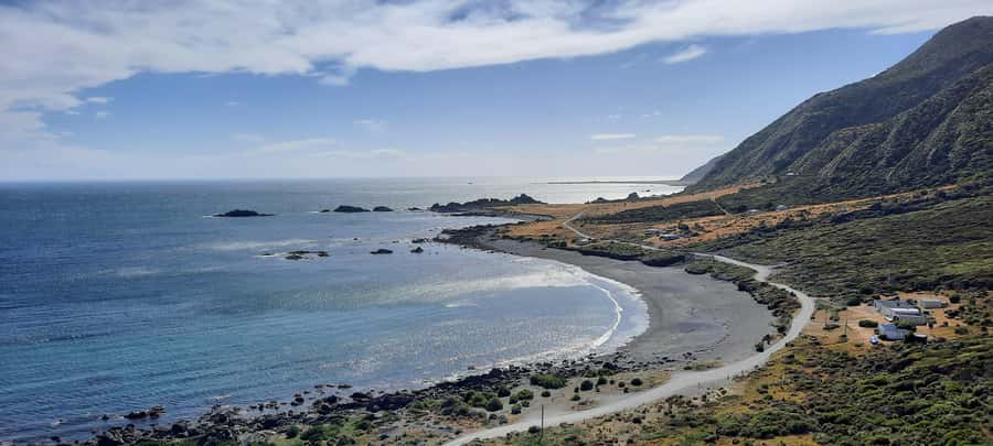 Martinborough Winery and South Wairarapa Wild Coast Tour - Price and value: $229 feels fair if you want a full day of tasting