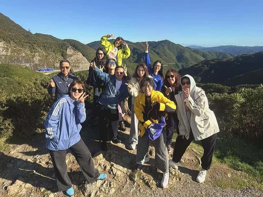 Martinborough Winery and South Wairarapa Wild Coast Tour - Cape Palliser and the seals: rugged coast with optional big effort