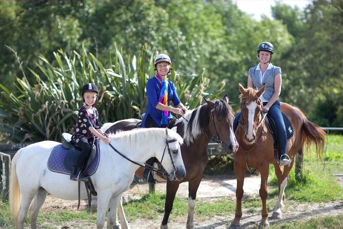 Matakana Art & Horse Riding Experience Private Tour From Auckland - Key highlights worth getting excited about