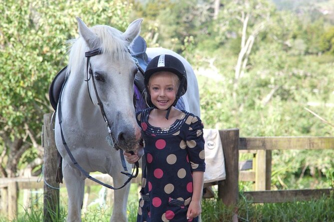 Matakana Art & Horse Riding Experience Private Tour From Auckland - Auckland to Matakana: the private minibus pickup and countryside time