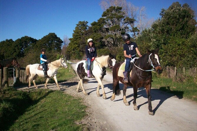 Matakana Art & Horse Riding Experience Private Tour From Auckland - Lunch at Rothko Restaurant and included refreshments you can count on