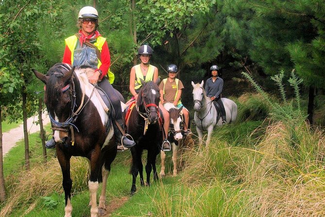 Matakana Art & Horse Riding Experience Private Tour From Auckland - Price and value: what $588.92 per person is paying for