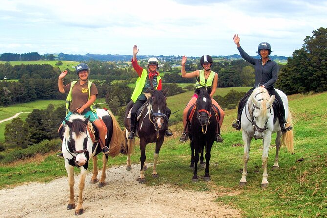 Matakana Art & Horse Riding Experience Private Tour From Auckland - Chocolate Brown: chocolate tasting and wine as the day’s sweet pivot