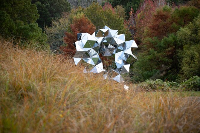 Matakana Art & Vineyard Experience incl. Lunch & Wine Tasting Tour From Auckland - Price and Value: What $588.92 Actually Buys