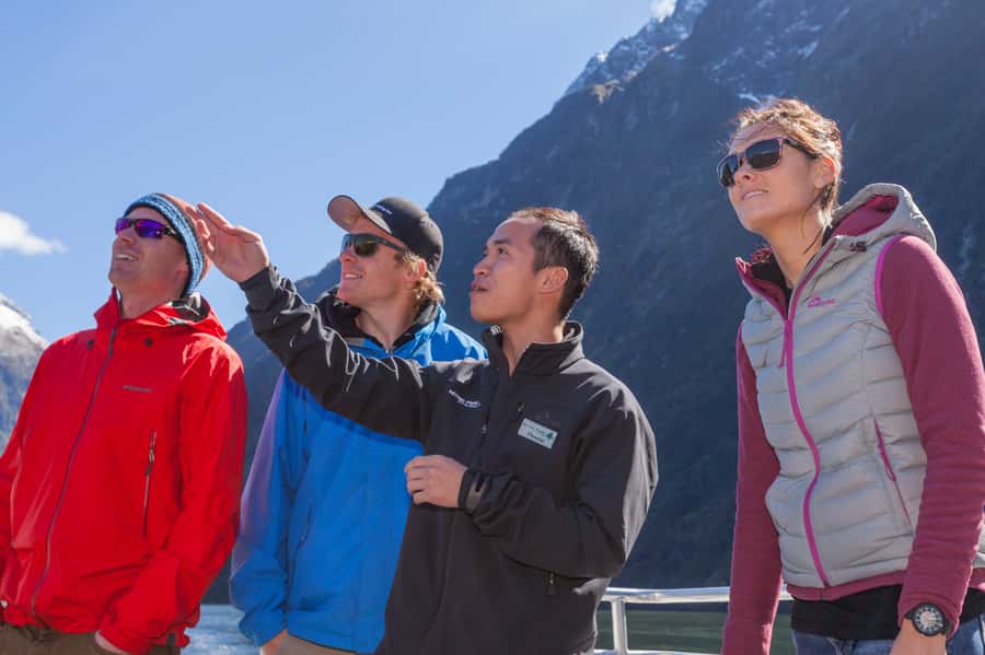 Milford Sound: 2-Hour Small Boat Scenic Cruise - Price and value: what $101 gets you in real terms