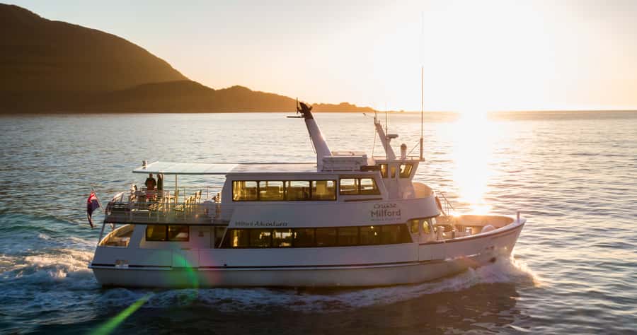 Milford Sound: Boutique Small-Boat Cruise - Comfort and On-Board Setup: Lounge Seating, Open-Air Viewing