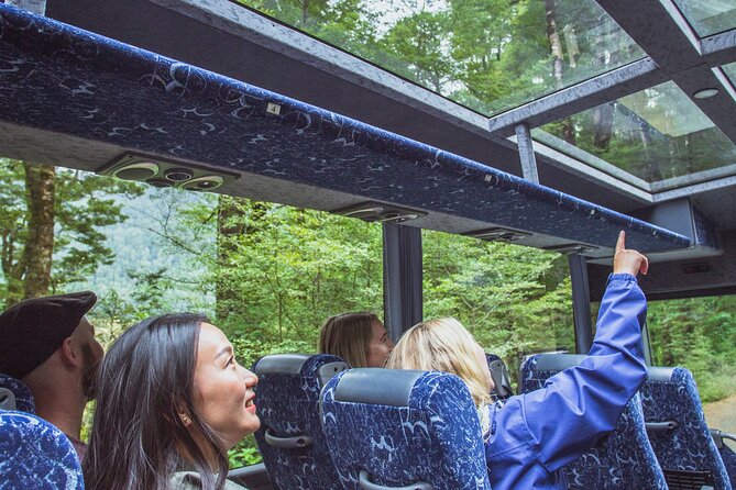 Milford Sound Coach and Cruise tour from Queenstown - Key highlights and practical takeaways