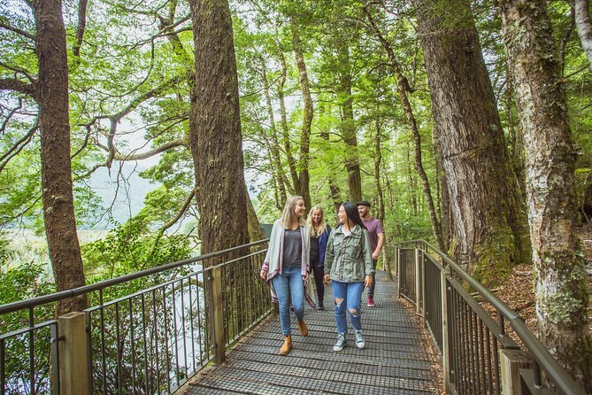 Milford Sound Coach and Cruise tour from Queenstown - The Southland Region drive: Lake Wakatipu and Devil’s Staircase vibes