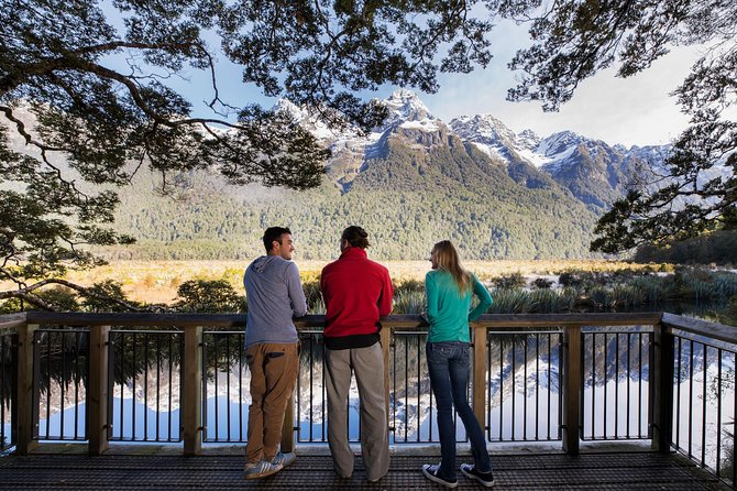 Milford Sound Coach & Cruise ex Te Anau Stunning Views with Lunch - What I Really Like and What to Watch For