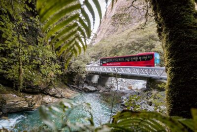 Milford Sound Coach & Cruise ex Te Anau Stunning Views with Lunch