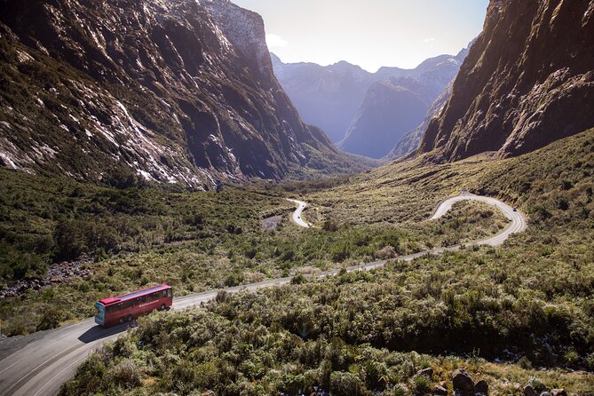 Milford Sound Coach & Extended Cruise from Queenstown - Te Anau Stop: A Simple 30-Minute Reset