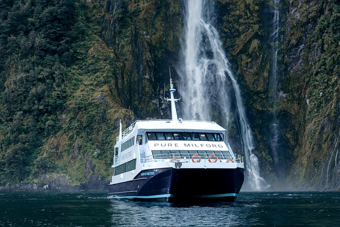 Milford Sound Cruise - Milford Wildlife Chances: Fur Seals, Dolphins, and How to Prepare