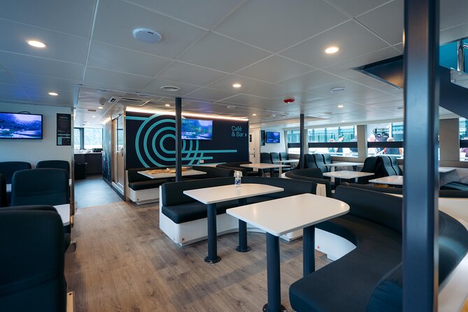 Milford Sound Cruise - Coffee, Snacks, and How to Handle Food Without Missing the Sights