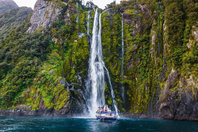 Milford Sound Cruise from Queenstown or Te Anau - The 2-hour Milford Sound cruise: wildlife odds and what to watch for