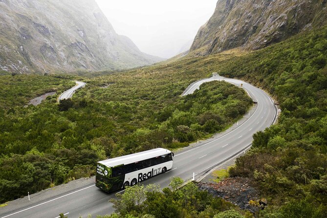 Milford Sound Cruise from Queenstown or Te Anau - Price and logistics: what you’re really paying for