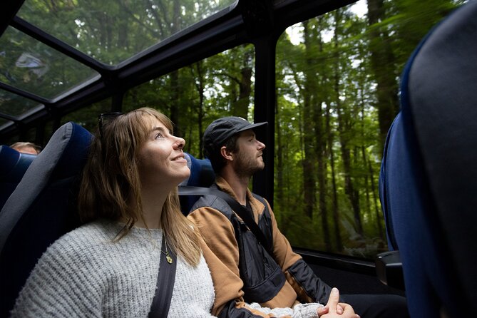 Milford Sound Cruise from Queenstown or Te Anau - Who this Milford Sound cruise is best for