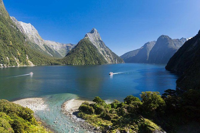 Milford Sound Cruise: Stunning Views & Optional Picnic or Buffet - Wildlife spotting from the deck: what to look for
