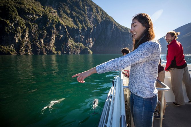 Milford Sound Cruise: Stunning Views & Optional Picnic or Buffet - Live commentary: what makes it better than a silent boat ride