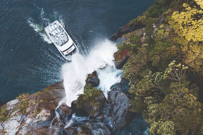 Milford Sound Day Tour from Te Anau - Quick hits before you go