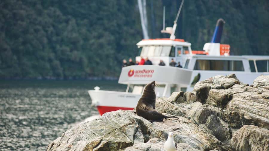 Milford Sound: Discover More on Our Longest Cruise - Key things to know before you go
