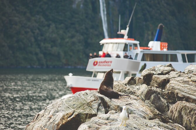 Milford Sound Extended Cruise with Southern Discoveries - Why the extra 2 hours 15 minutes changes everything
